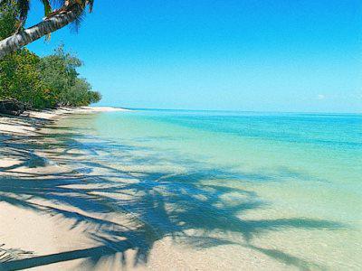 Bedarra Island 호텔 Great Barrier Reef 외부 사진